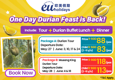 singapore 1 day durian tour